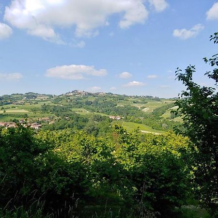 Bed And Breakfast La Volpe Tra Le Vigne Castelnuovo Don Bosco Buitenkant foto