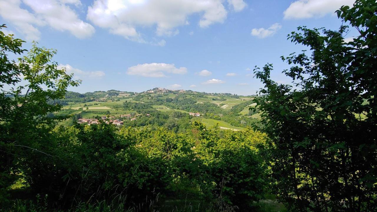 Bed And Breakfast La Volpe Tra Le Vigne Castelnuovo Don Bosco Buitenkant foto