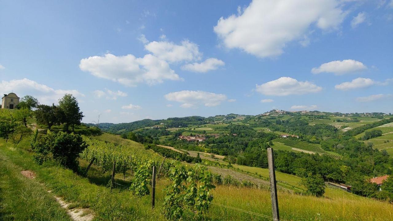 Bed And Breakfast La Volpe Tra Le Vigne Castelnuovo Don Bosco Buitenkant foto